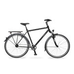 Velo de Ville A200 8Gg Nexus FL Diamant