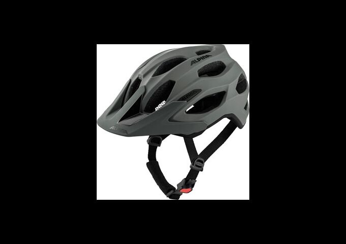 Alpina Carapax 2.0 coffee-grey 52-57