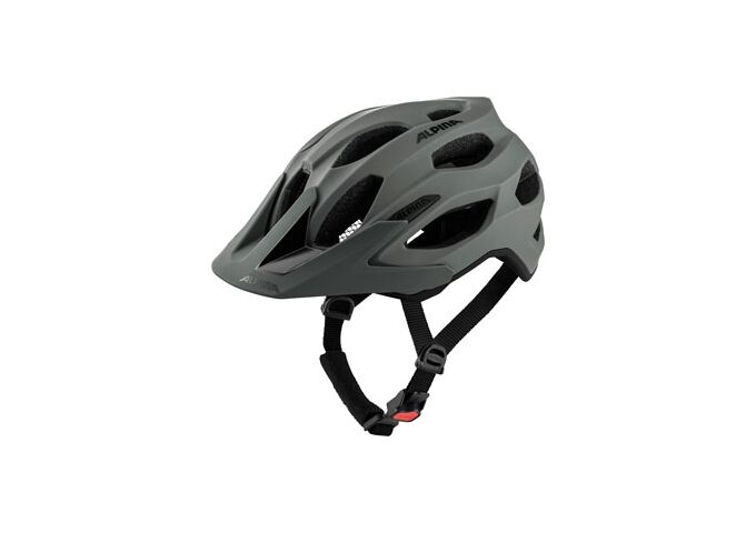 Alpina Carapax 2.0 coffee-grey 52-57