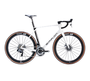 Simplon SPC-152435 Pavo IV Expert DI2 (Metallic White Glossy/Carbon Glossy)