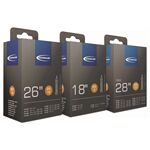 Schwalbe DV 1 / 12