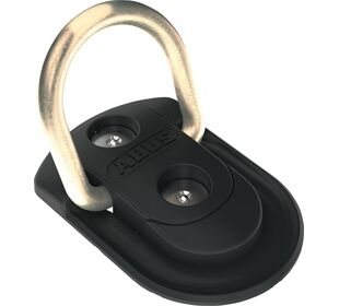 Abus WBA 60 Wand- & Bodenanker