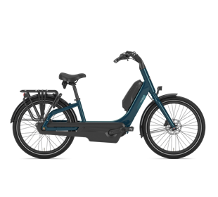 Gazelle Easyflow HMS T7 Low-Step 630Wh (pine green)