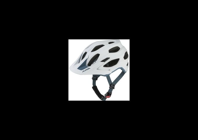 Alpina Carapax 2.0 white pebble blue matt 57-62