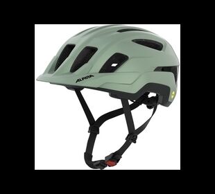 Alpina Paranus MIPS willow-green matt 52-56 (willow green matt)