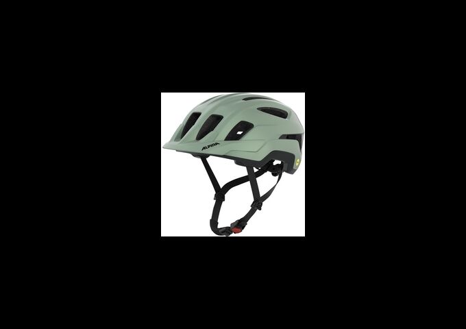 Alpina Paranus MIPS willow-green matt 52-56