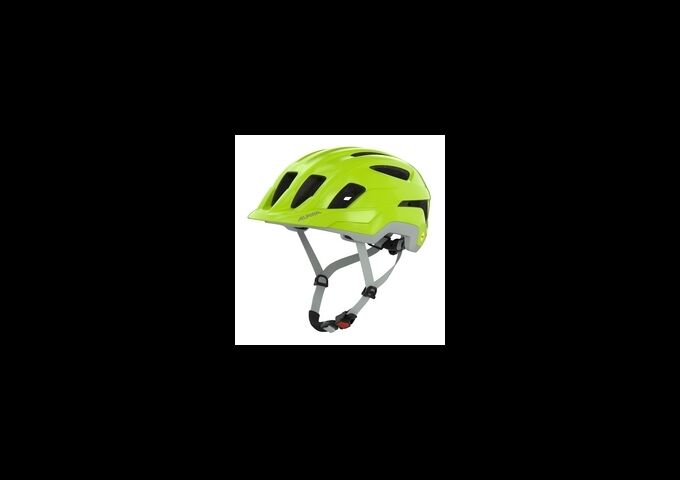 Alpina Paranus MIPS be-visible grey matt 52-56
