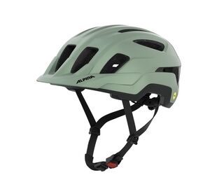 Alpina Paranus MIPS willow-green matt 59-61 (willow green matt)