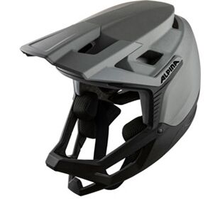 Alpina Roca, coffee-grey matt, 54-55 (coffee)