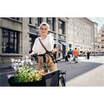 tex-lock tex-lock eyelet S 80cm + X-Lock, gold/schwarz