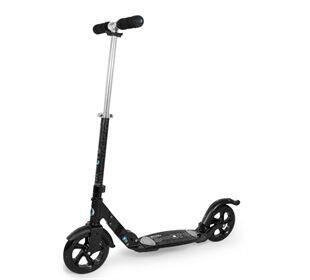 Micro Mobility Micro Flex 200 schwarz matt (schwarz)