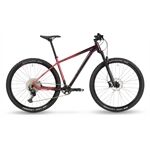 Stevens Devil's Trail 29"