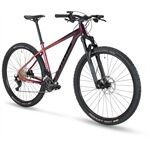 Stevens Devil's Trail 29"