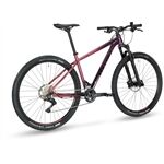 Stevens Devil's Trail 29"