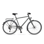 Velo de Ville L200 Sport 12Gg XT Diamant