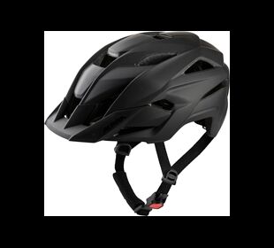 Alpina Stan MIPS black matt 51-55 (black matt)
