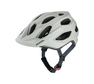 Alpina Apax Mips smoke-grey matt 52-57 (smoke grau)